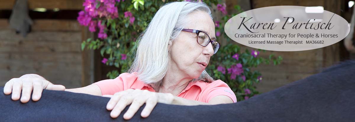 Karen Partisch, Licensed Craniosacral Therapist