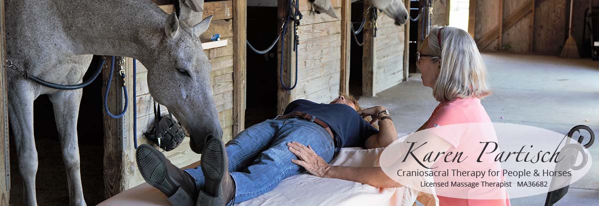 Karen Partisch, Licensed Craniosacral Therapist