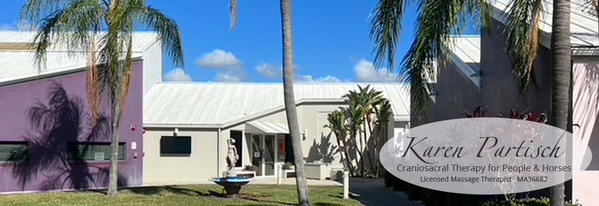 Karen Partisch, Licensed Craniosacral Therapist