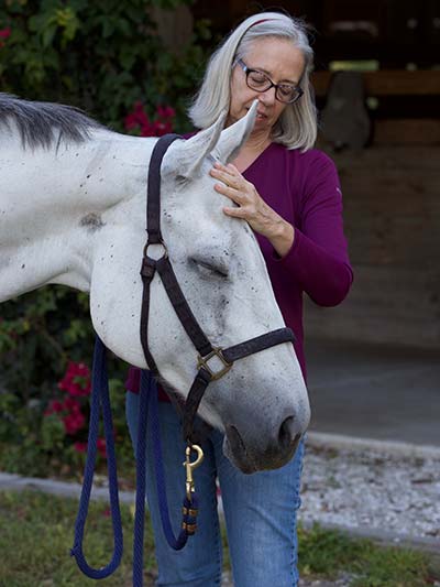 Horses - Craniosacral Therapy with Karen Partisch