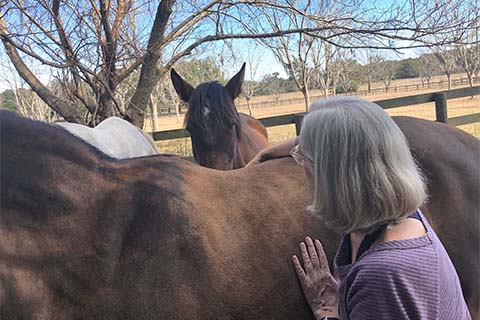 Craniosacral Therapy for People